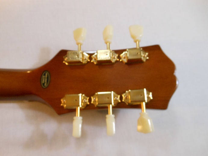 ES-345 Triburst Picture 4